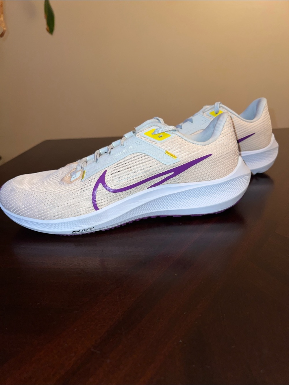 Nike Air Zoom Pegasus 40 Women’s Running Shoes